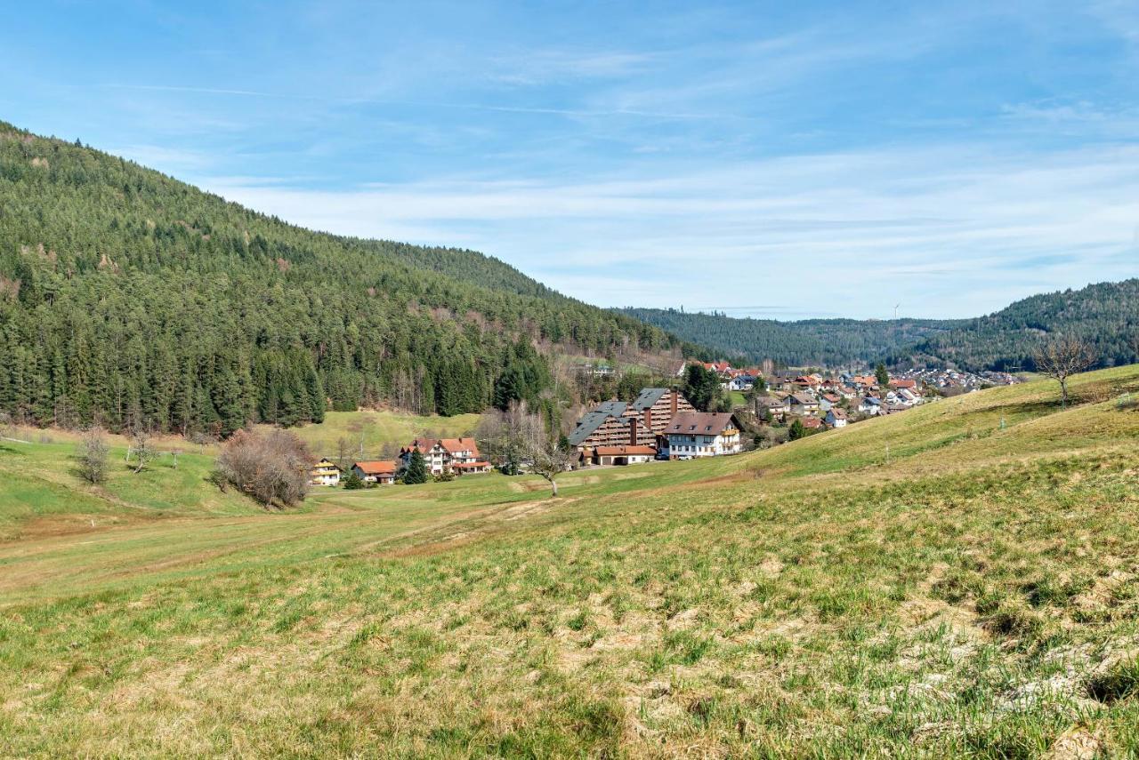 Schwarzwald Woelkchen Apartman Baiersbronn Kültér fotó