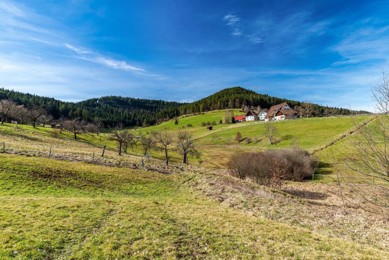 Schwarzwald Woelkchen Apartman Baiersbronn Kültér fotó